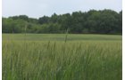 Lake County, Indiana farmland - LAND AUCTION - 147+/- ACRES OFFERED IN 3 TRACTS IN LAKE COUNTY, INDIANA